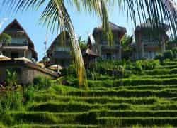 Surya Shanti Villa Surya Shanti Villa