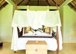Surya Shanti Villa Surya Shanti Villa