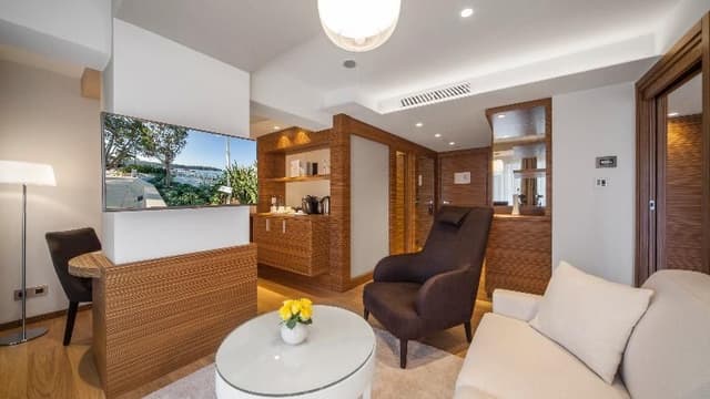 JUNIOR SUITE PARK VIEW