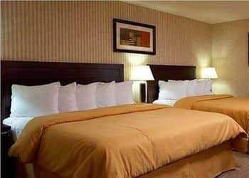 Quality Hotel & Suites Quality Hotel & Suites