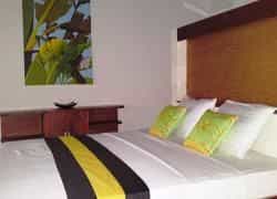 Palm Garden Amed Beach and Spa Resort Bali Palm Garden Amed Beach and Spa Resort Bali