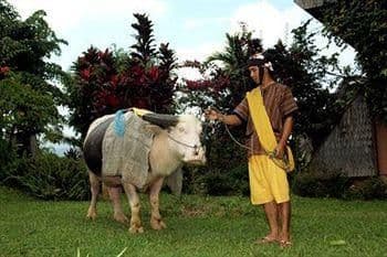 Heritage Toraja Heritage Toraja