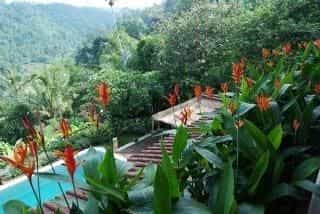 The Payangan Hideaway The Payangan Hideaway