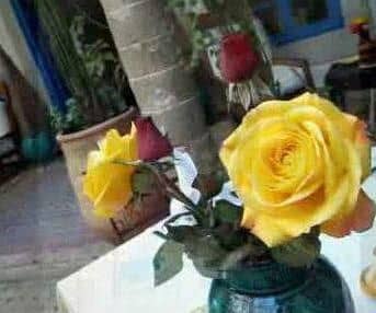 Riad Al Madina Riad Al Madina