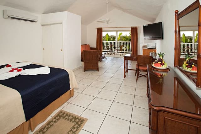 SUITE CAPACITY 1
