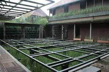 Rumah Turi Solo Rumah Turi Solo