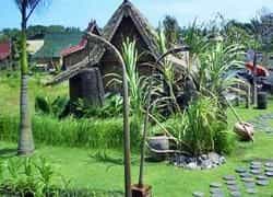 Desa Seni A Village Resort Desa Seni A Village Resort