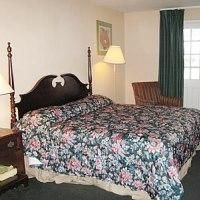 Midtown Hotel New Orleans4