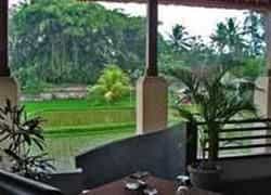 Anini Raka Resort & Spa Anini Raka Resort & Spa