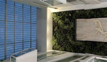 Lumina Luxury Suites Lumina Luxury Suites