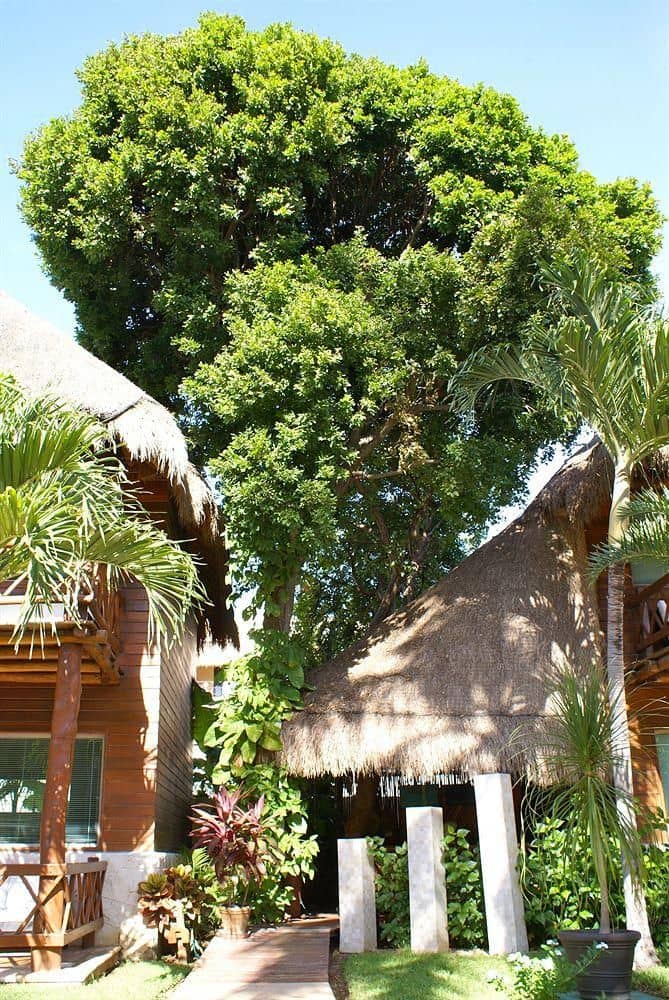 Hotel Boutique Magic Blue Hotel Boutique Magic Blue