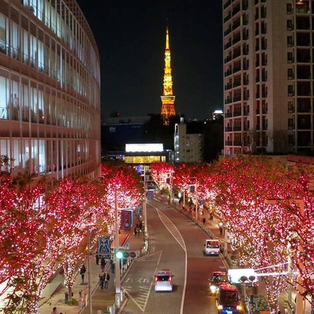 Hotel Asia Center of Japan Hotel Asia Center of Japan