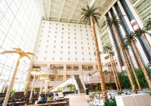 โรงแรมชาเตอร์เรส กาโตว์ คิงดอม ซัปโปโร โฮเต็ล แอนด์ สปา รีสอร์ท (Chateraise Gateaux Kingdom Sapporo Hotel & SPA Resort)1