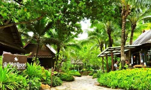 แรบบิท รีสอร์ต แรบบิท รีสอร์ต