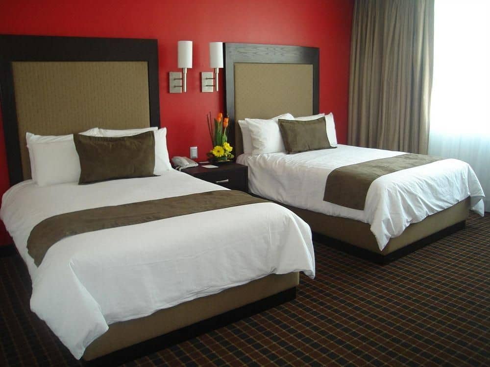 Quality Suites Ciudad de Mexico Zona Rosa PF Quality Suites Ciudad de Mexico Zona Rosa PF