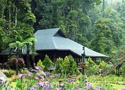 Hornbill Golf & Jungle Club4