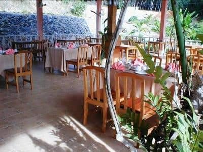 Rainforest Resort Rainforest Resort
