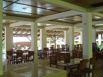D Coconut Lagoon1