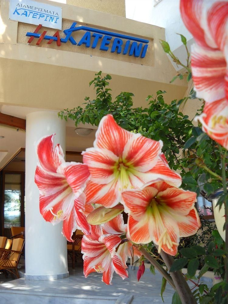 Katerini4