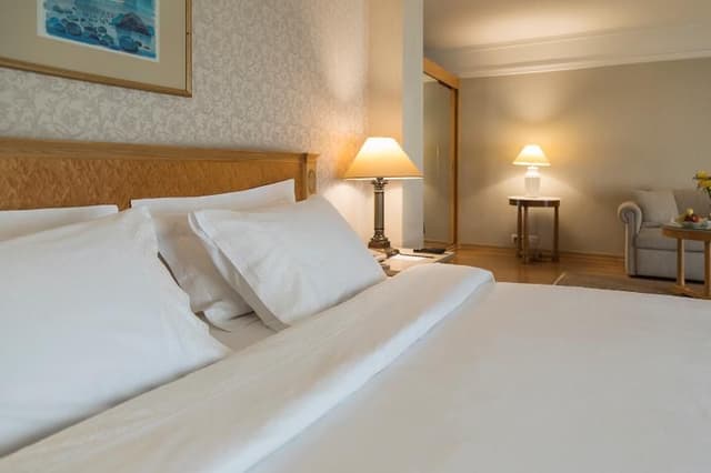 JUNIOR SUITE CAPACITY 2