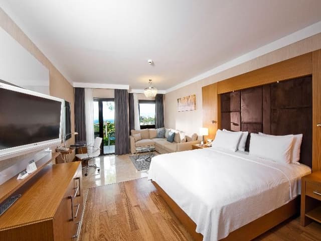 DOUBLE SINGLE USE GUEST ROOM