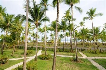Cocomar Residences & Beachfront Resort4