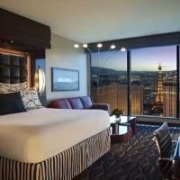 Elara Hilton Grand Vacations Hotel Center Strip2