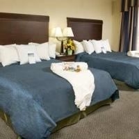Homewood Suites By Hilton Manchesterairport3