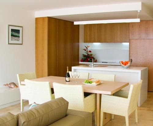 One-Bedroom Terrace Apartment