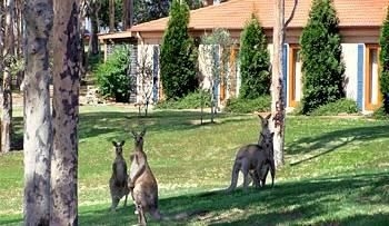 เอสเตต ทัสคานี, เดอะ มิล แอนด์ โบรกเคน แบก บาร์ (Tuscany Wine Estate Resort)0
