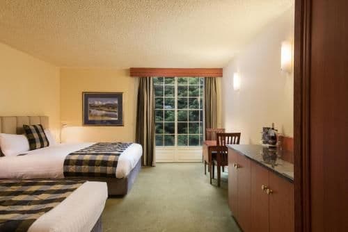 Deluxe Double or Twin Room