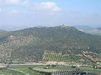 Del Carmen Del Carmen