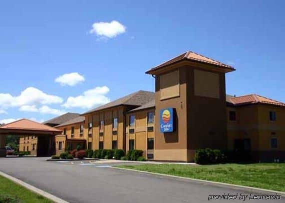 Quality Inn Quality Inn