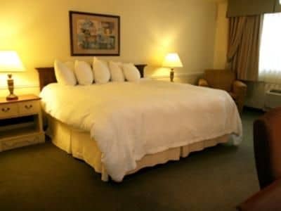 Best Western CottonTree Inn Best Western CottonTree Inn