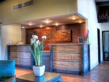 Best Western Dobson Ranch Inn1