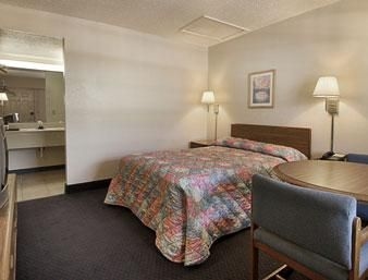Super 8 Tampa U.S.F. Near Busch Gardens Downtown4