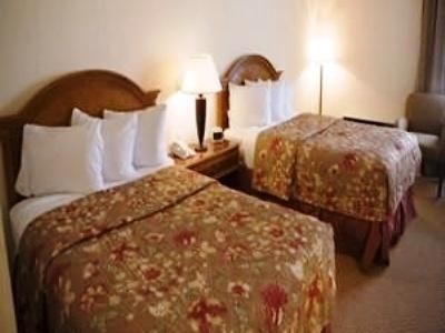 Holiday Inn Venice2