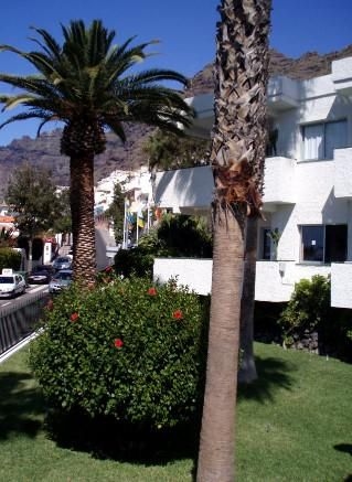 El Sombrero Apartments2