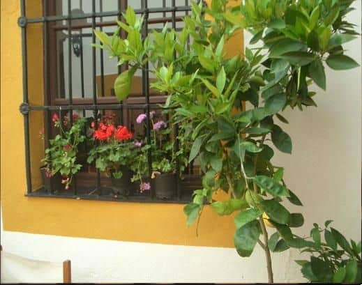 Los Balcones De Zafra Los Balcones De Zafra