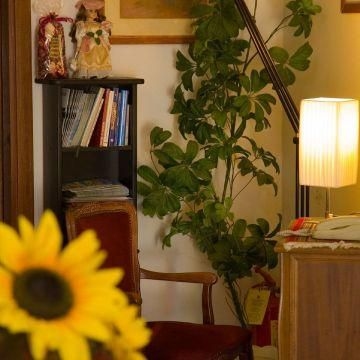 La Ruota Dei Pavoni3