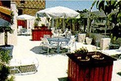 Hollywood Orchid Suites1