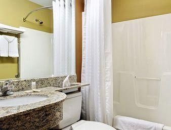 Microtel Inn and Suites Marietta1