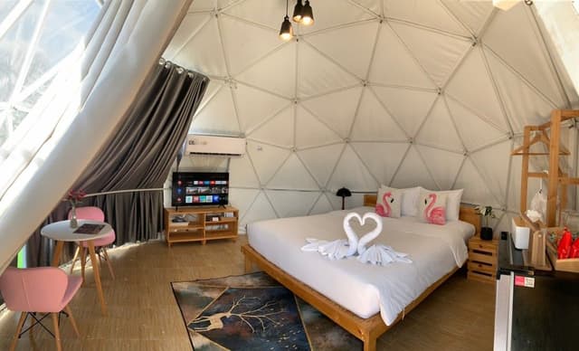 Geodesic Dome