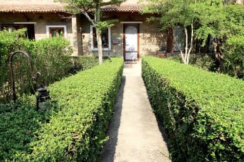 Garden Suite