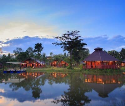 Museflower Retreat & Spa Museflower Retreat & Spa