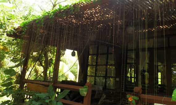 เรือนน้ำเย็น รีสอร์ต อัมพวา