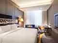 Novotel Singapore On Stevens Novotel Singapore On Stevens