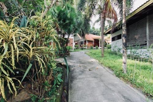 Standard Bungalow