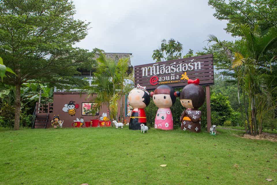 ทานิฮิล ทานิฮิล