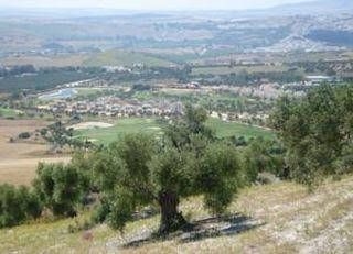 Cortijo Escondido0